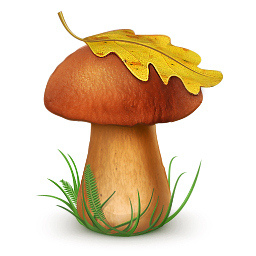 В Рязани — грибы с глазами: их едят, а они глядят